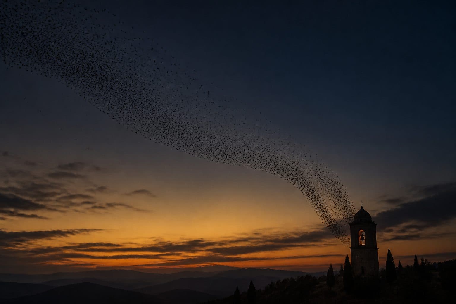 A murmuration of thousands of birds streaming down across a dusk sky into a glowing bell tower on a nearby hilltop